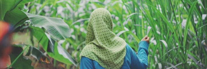 d_dinuk's profile banner image