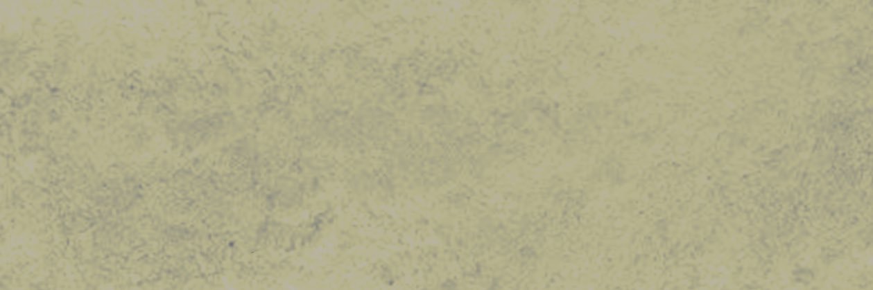 Moses Stone banner