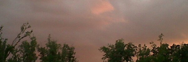 Ms_Terion Profile Banner