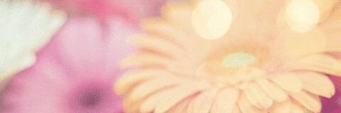 sakura20150215's profile banner image
