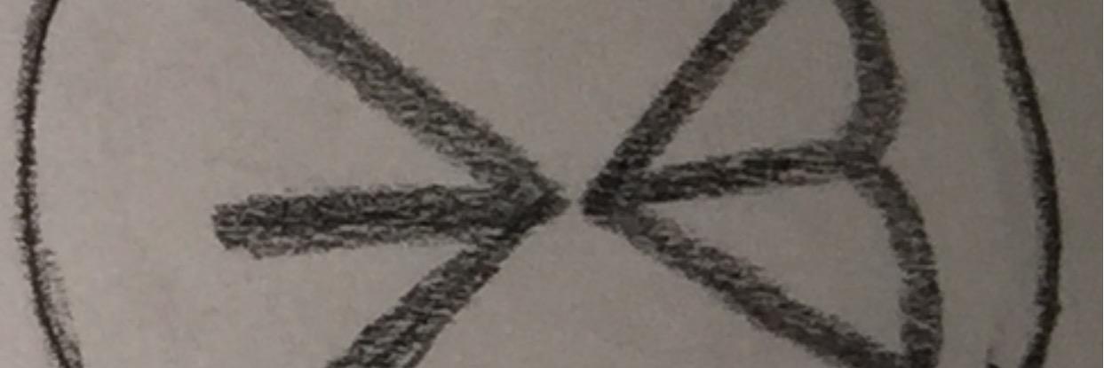 EvrythingBenito's profile banner image