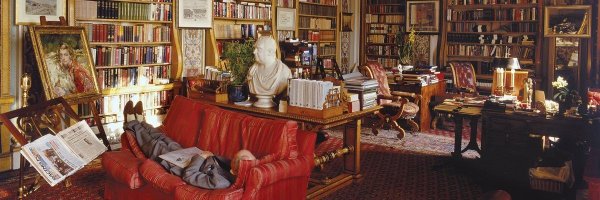 DurhamWASP Profile Banner