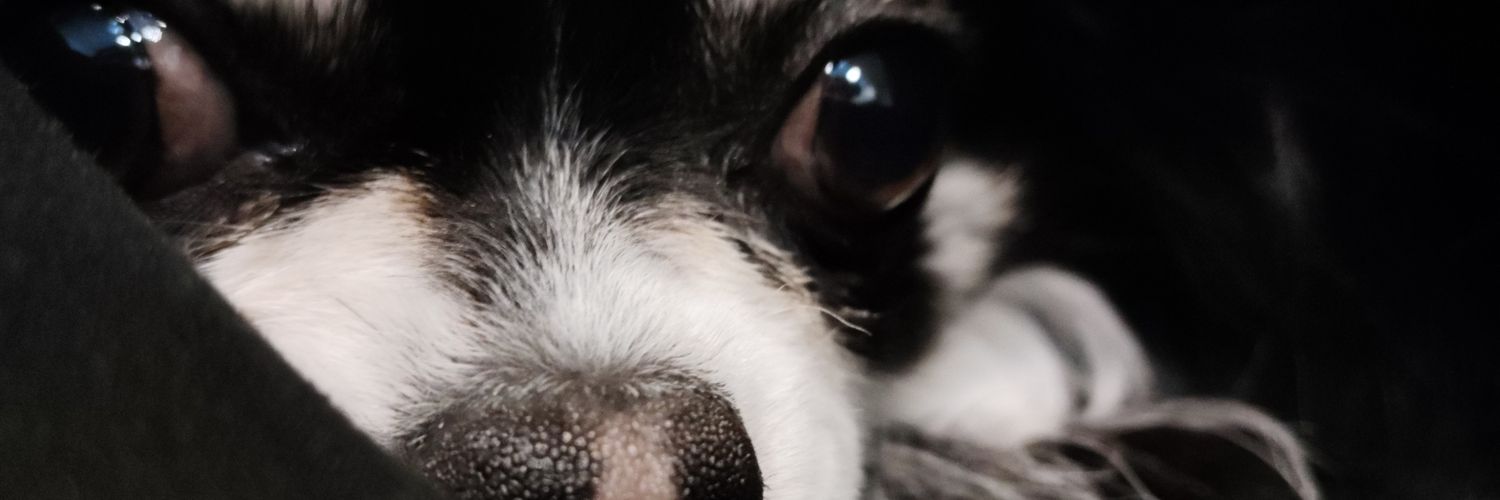 92hz's profile banner image
