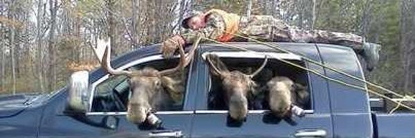 suelarsh71 Profile Banner