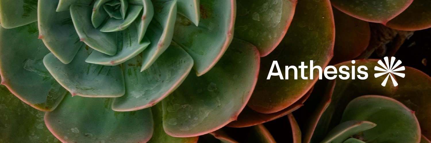 Anthesis_ESP's profile banner image