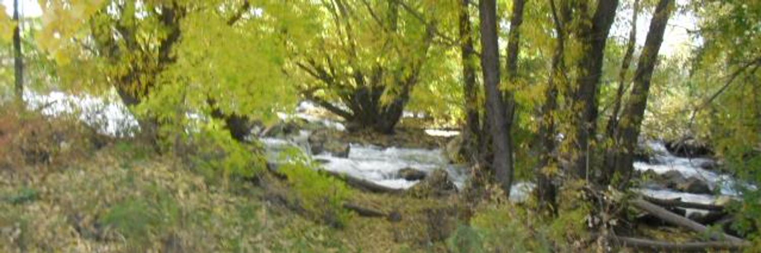 87Papach's profile banner image