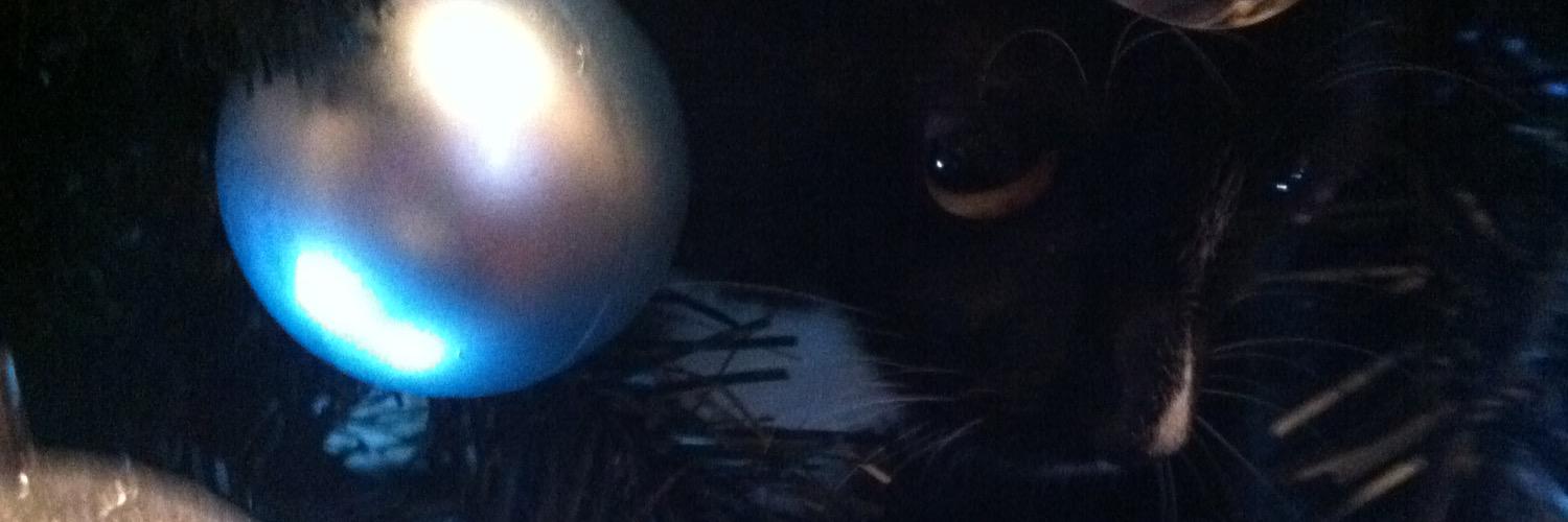 mandaminx74's profile banner image