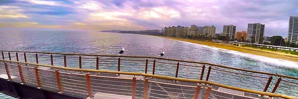 Visita Viña del Mar banner