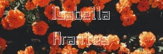 isaaa_arantes's profile banner image