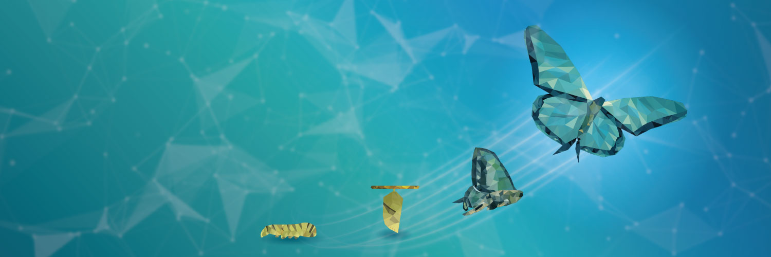 Informed Solutions banner