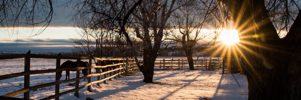 Emma Richardson banner