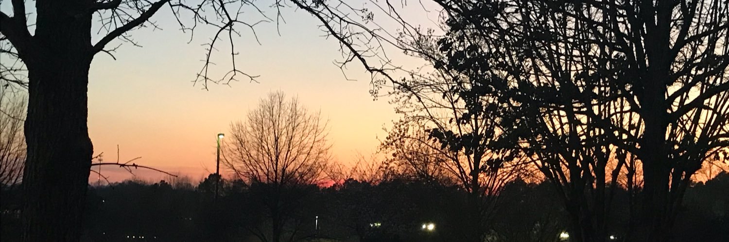 Judy Perez banner