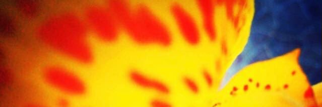 VRotondaro's profile banner image