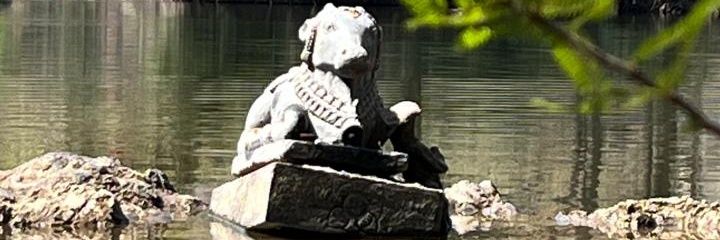 kingofcomedy007's profile banner image