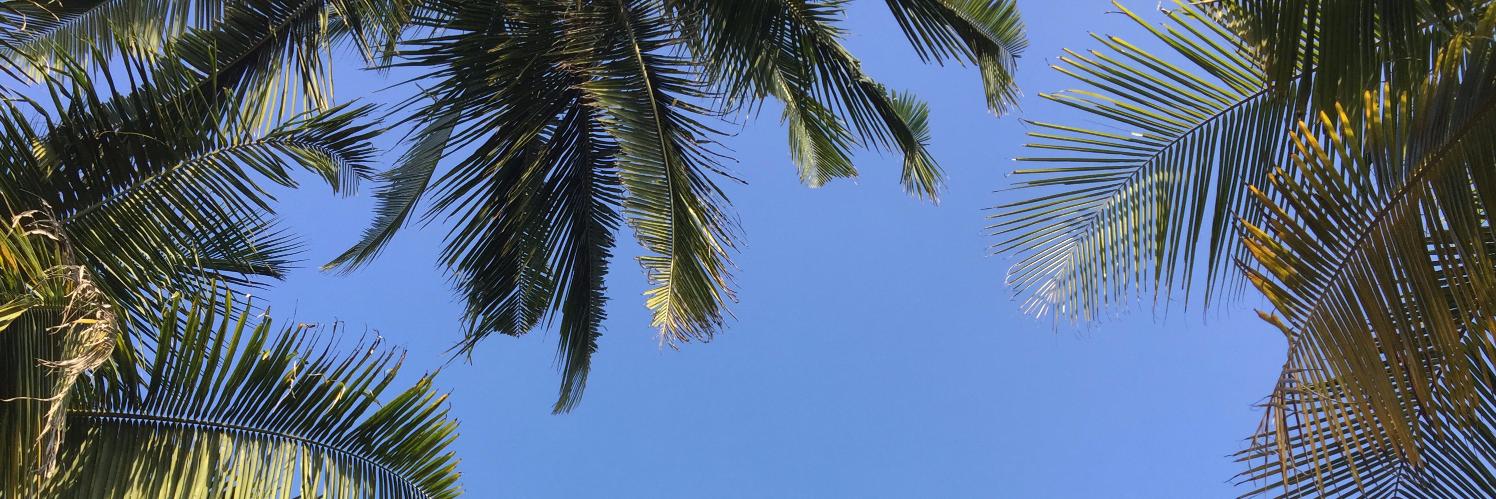 ShabnaCader's profile banner image