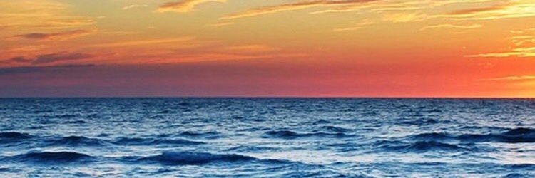 Sherudillo_E's profile banner image