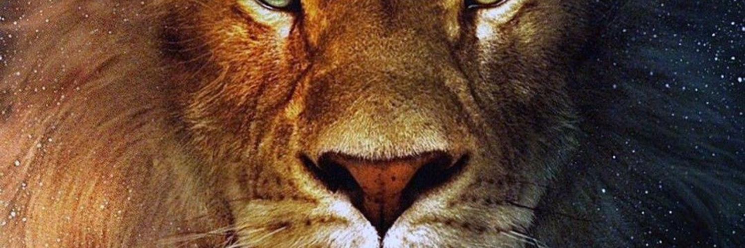 soydova's profile banner image
