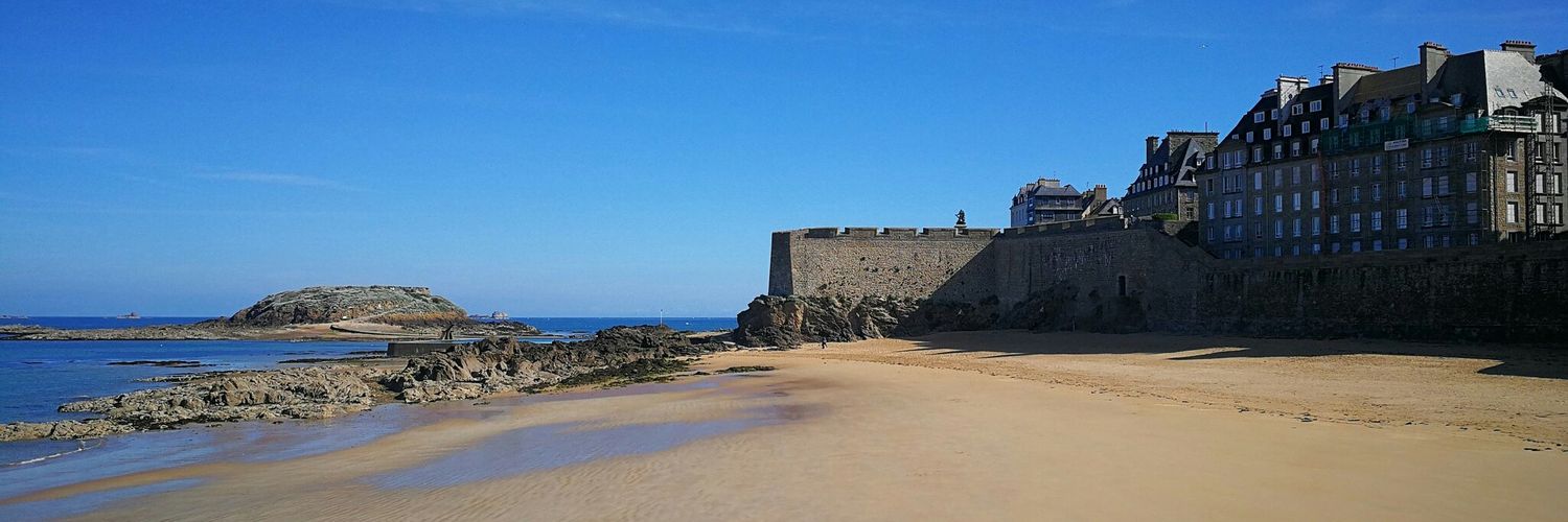 rader dominique banner