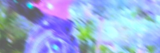 pgt02_'s profile banner image