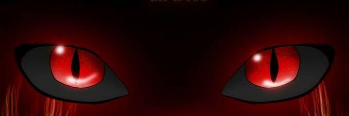 witwicky93's profile banner image