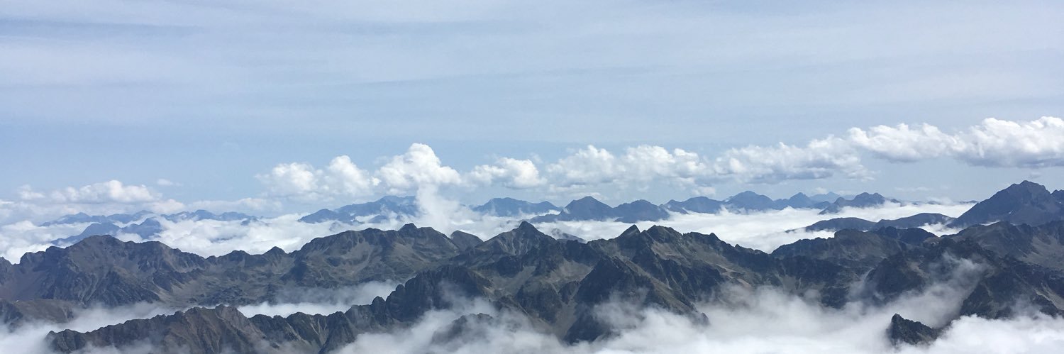 Cécile Crouzel banner