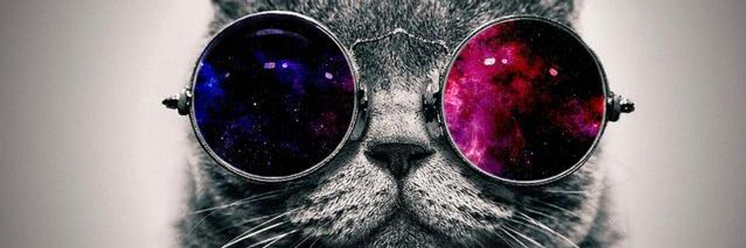 BossTigriy's profile banner image