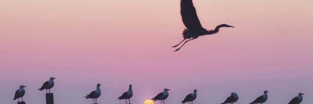 yourfeeIs's profile banner image