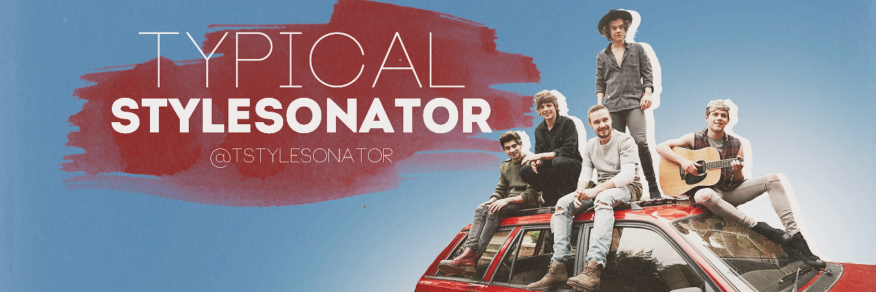 tstylesonator's profile banner image