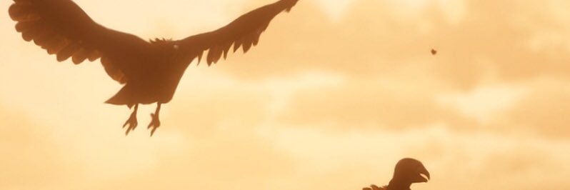 KiNgOfApEs's profile banner image