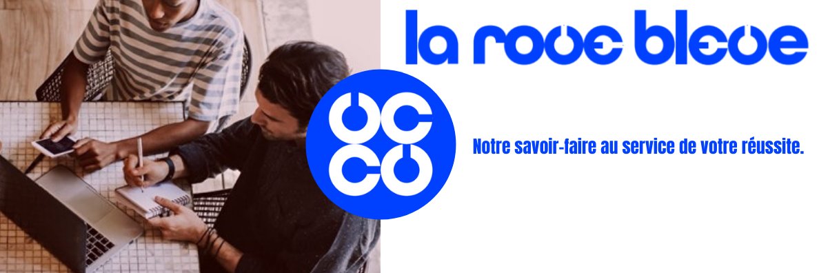 i_rouebleue's profile banner image
