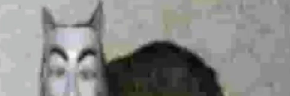 Niallify_'s profile banner image
