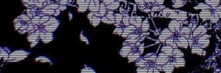 intovav's profile banner image