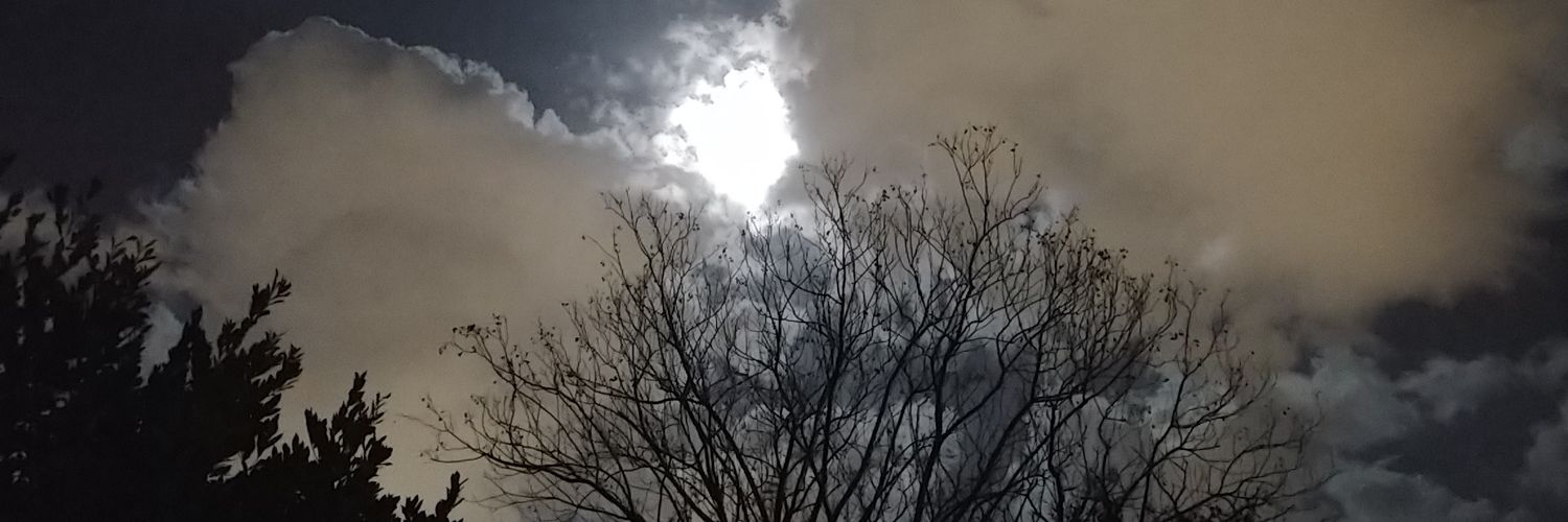 SharonHJanis's profile banner image