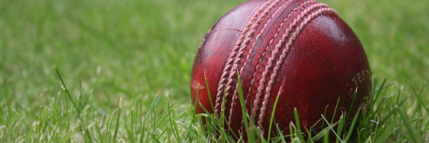 greenocricket's profile banner image