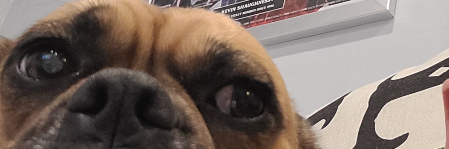 KShag316's profile banner image