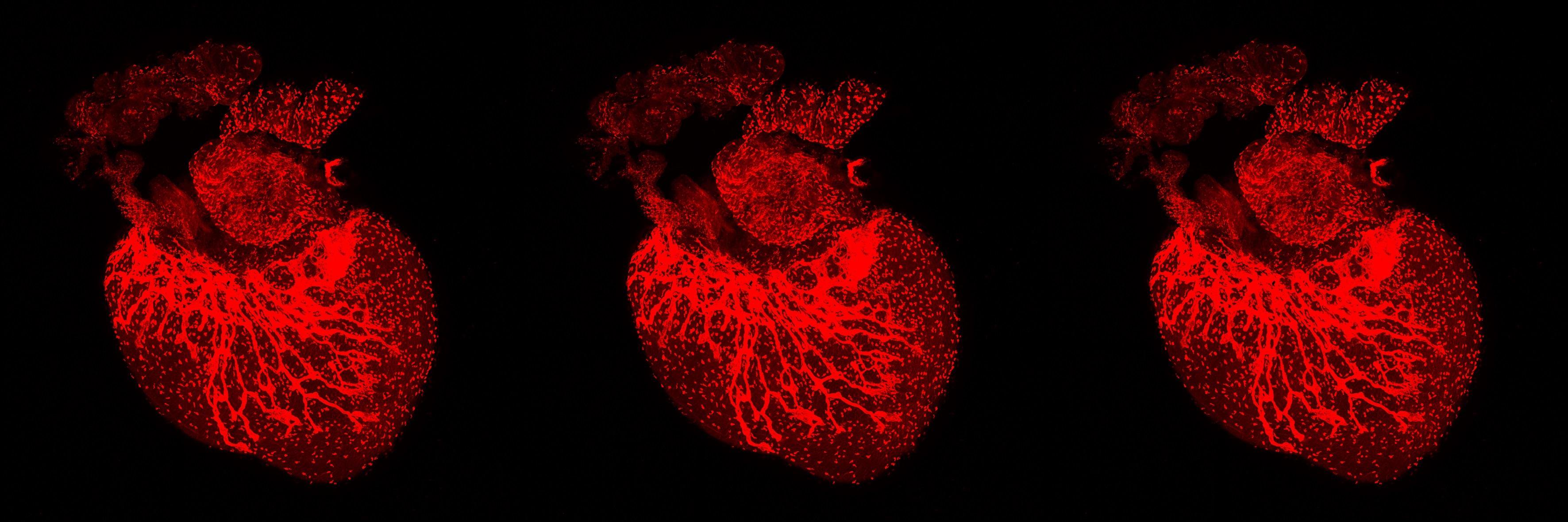 Riley Research Group banner