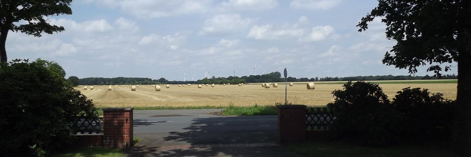 Steve Wehry🇪🇺 🇩🇪 🏴󠁧󠁢󠁥󠁮󠁧󠁿 banner