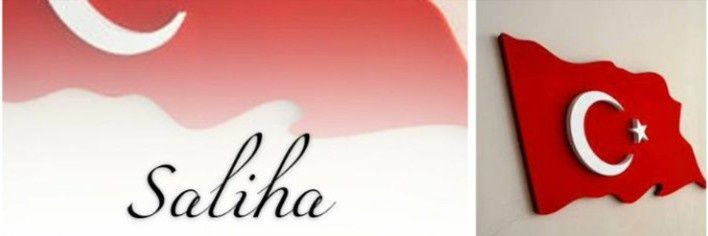 salihaont's profile banner image