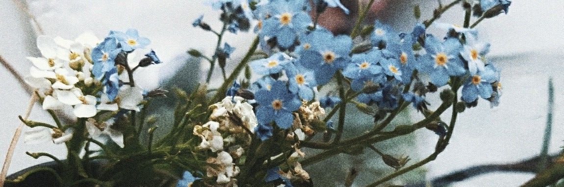 ___mariarev's profile banner image