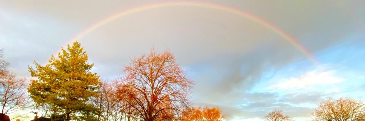 jlangTeach's profile banner image