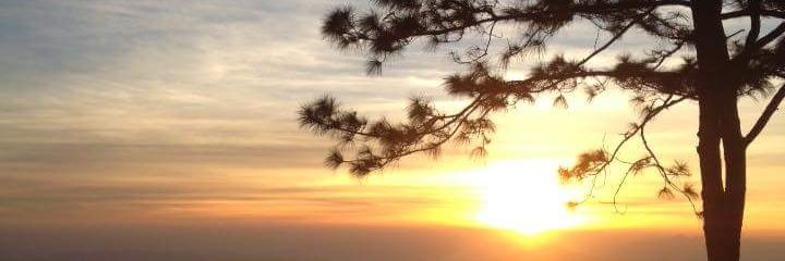 CHONTICHA12's profile banner image
