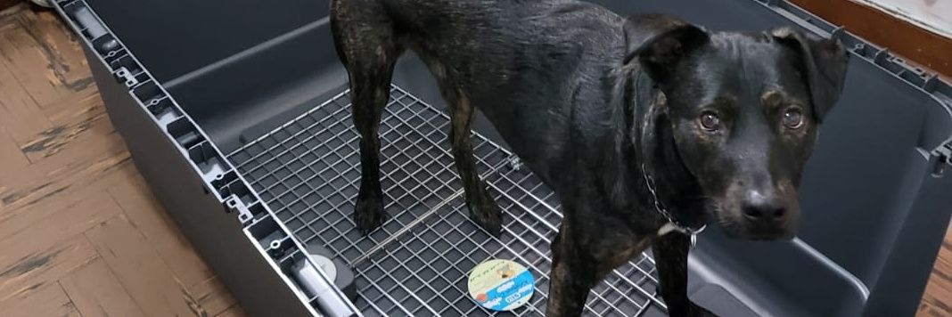 Carlos Blanco banner