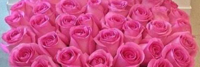 Jxtanisha's profile banner image
