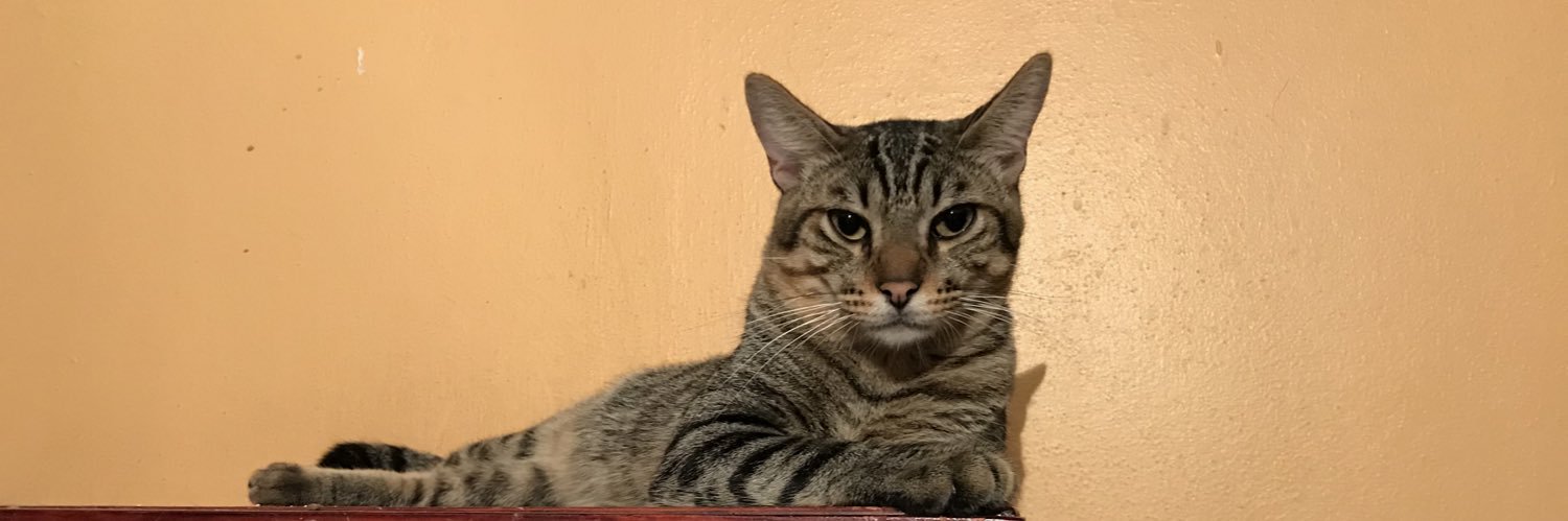 Xavier GonHer banner