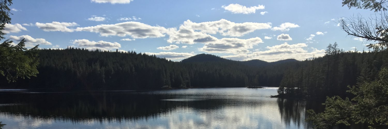 London Drugs #67 banner