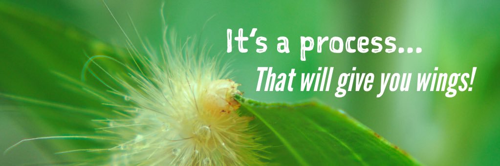 Dr. Evylyn Quiñones banner