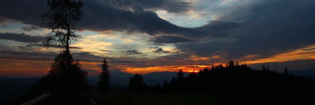 wgorach's profile banner image