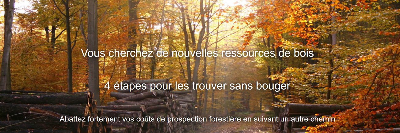 OpenForet's profile banner image