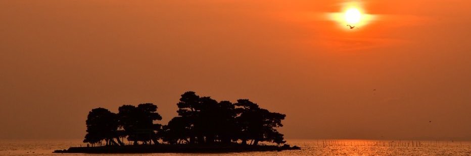 cktfp656's profile banner image