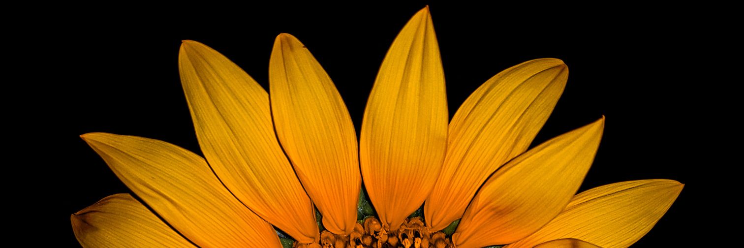 asaad1122's profile banner image